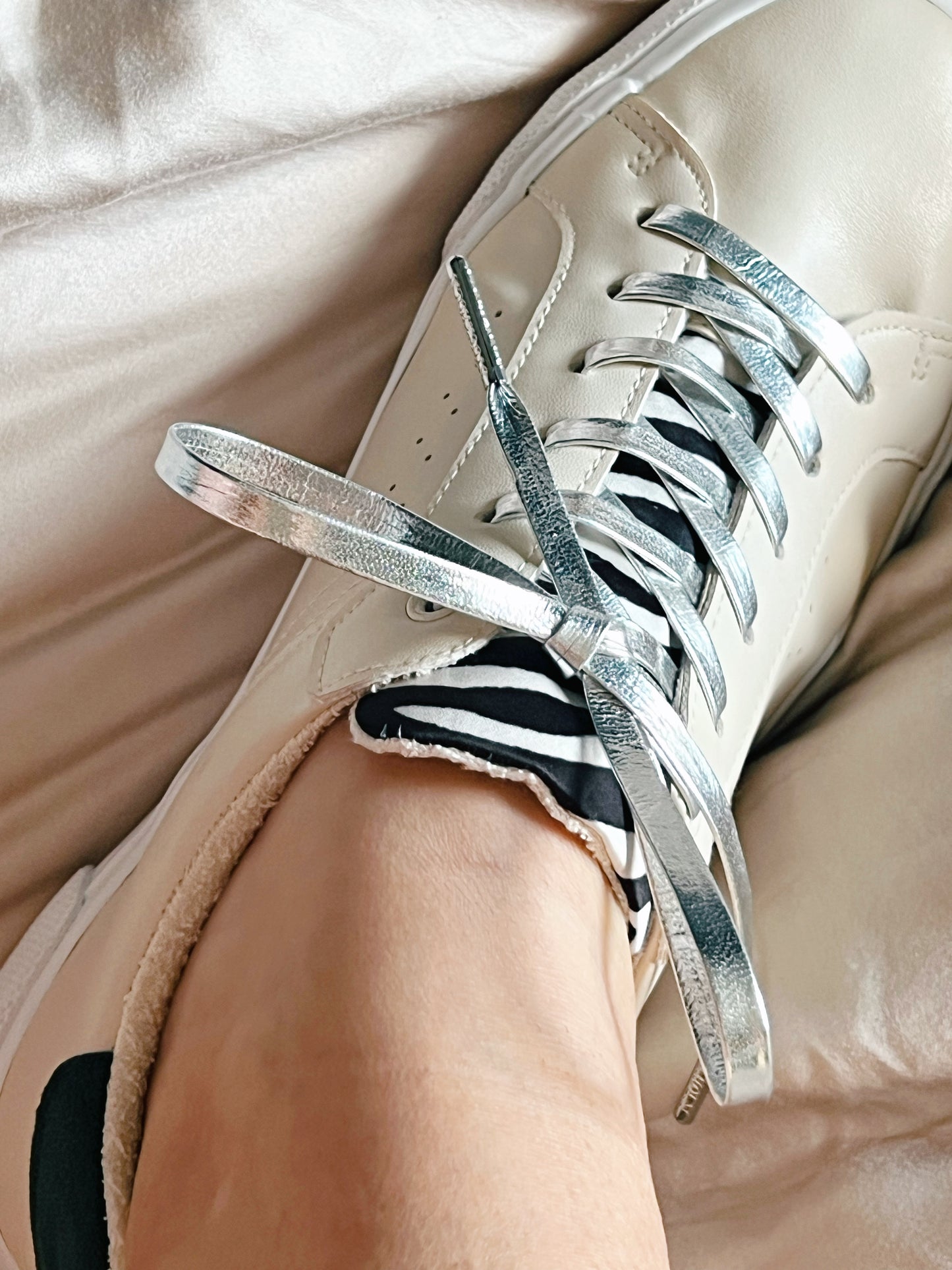 Sir Silver Skosnören