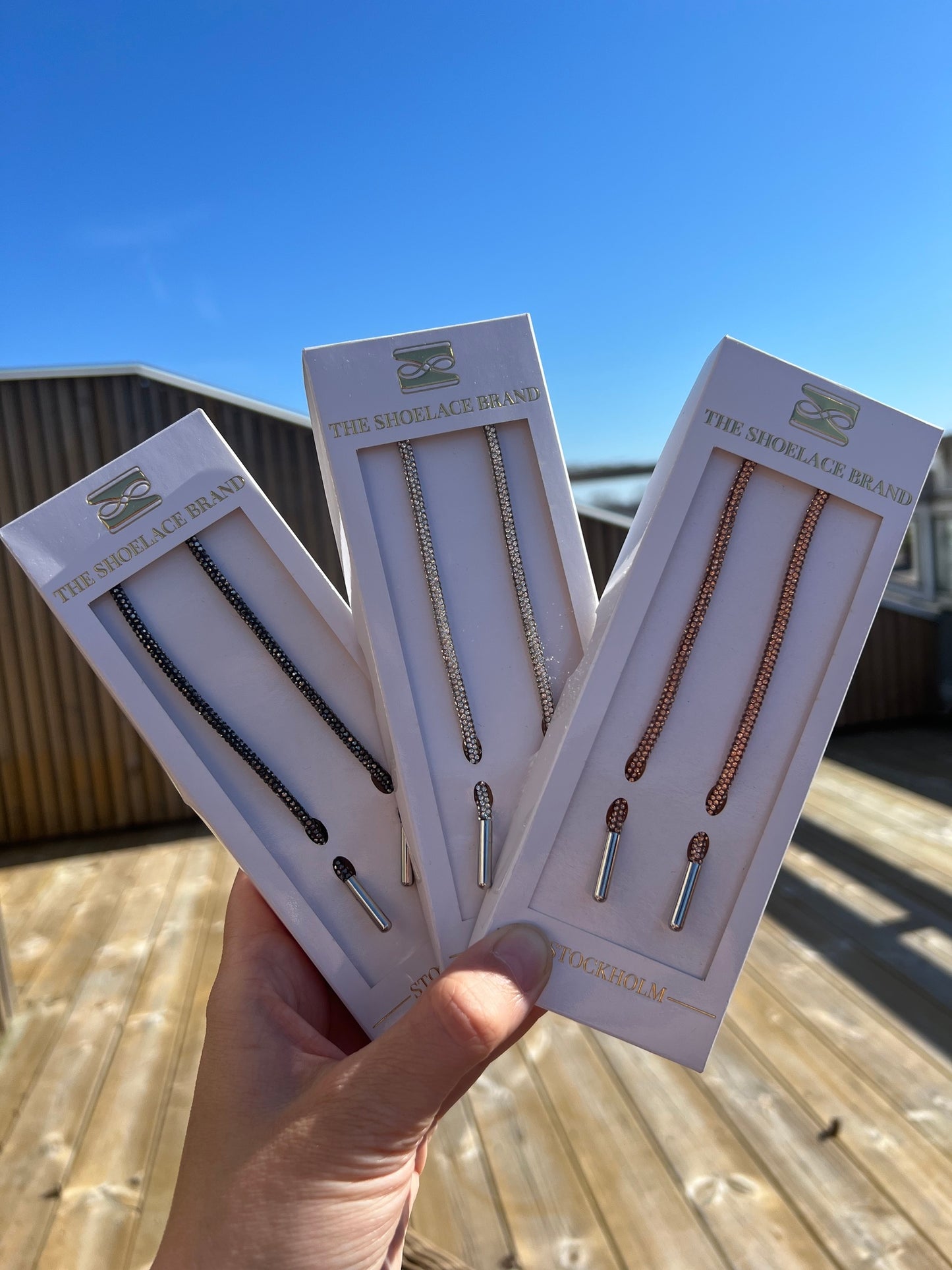 Luxury Silver Shoelaces