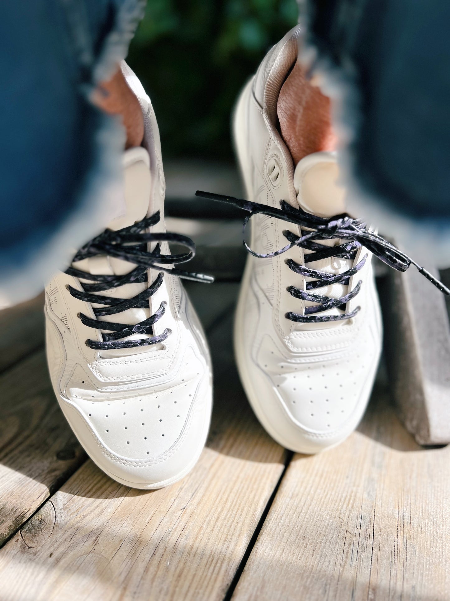 The Indigo Snake Shoelace